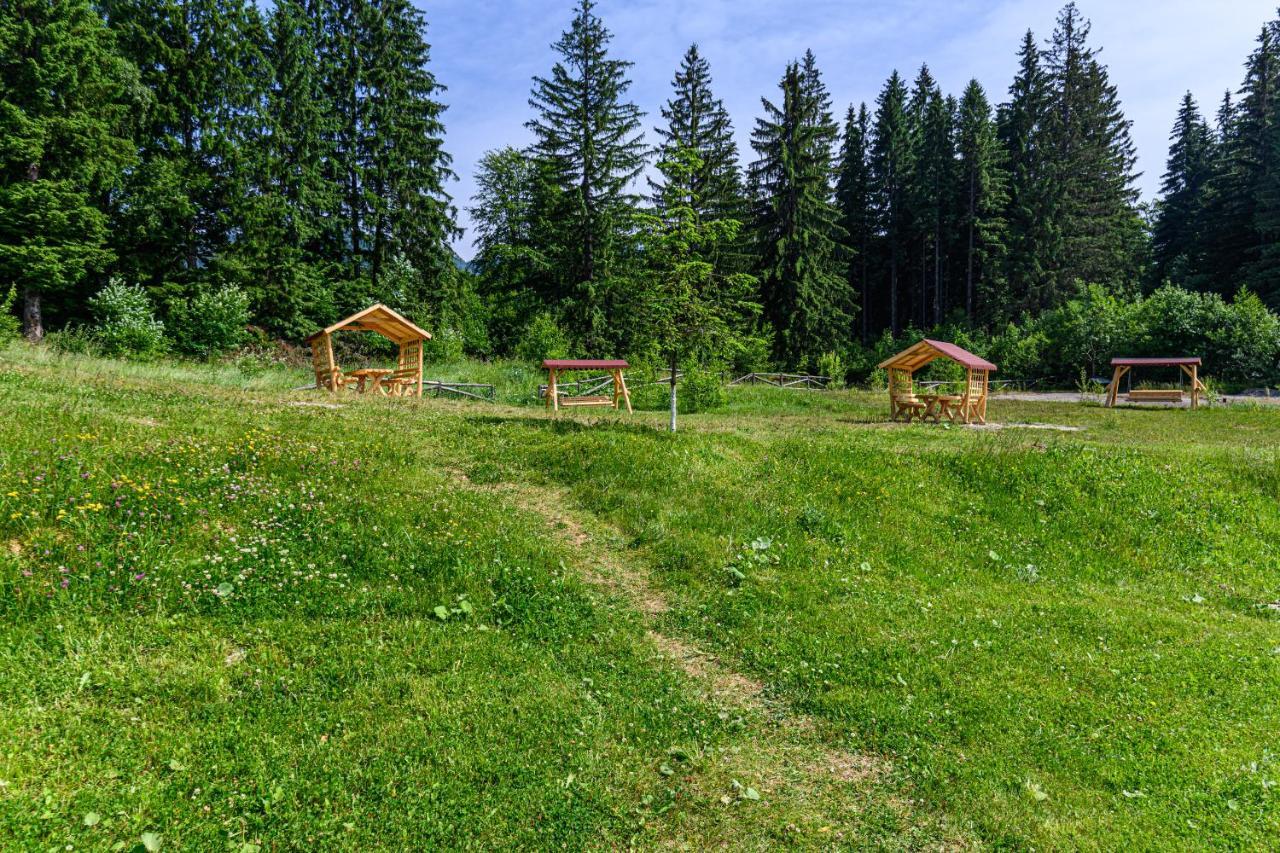 Fabulous Panorama Silver Mountain Apartments Пояна Брашов Екстериор снимка