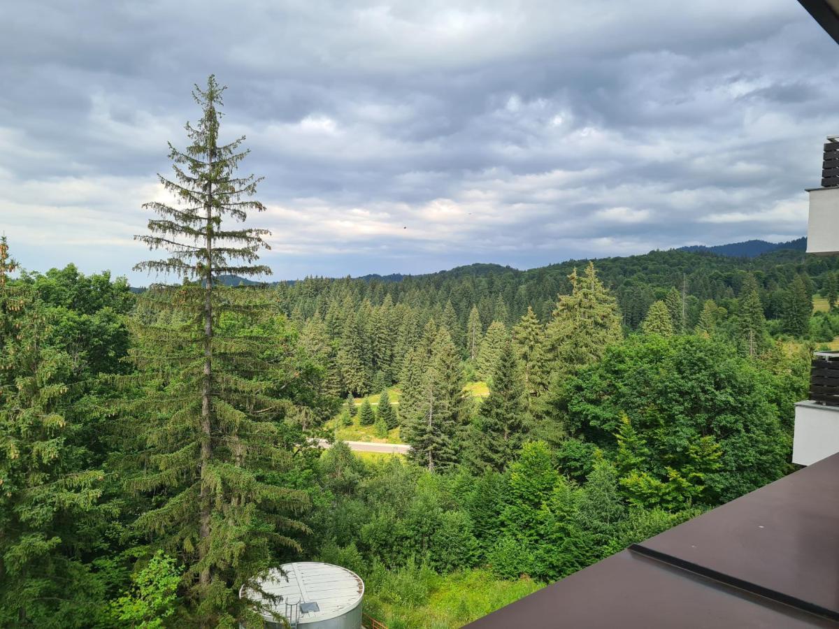 Fabulous Panorama Silver Mountain Apartments Пояна Брашов Екстериор снимка